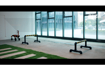 6.gif