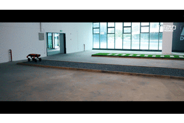 9.gif