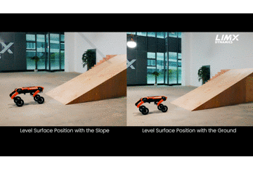 6.gif